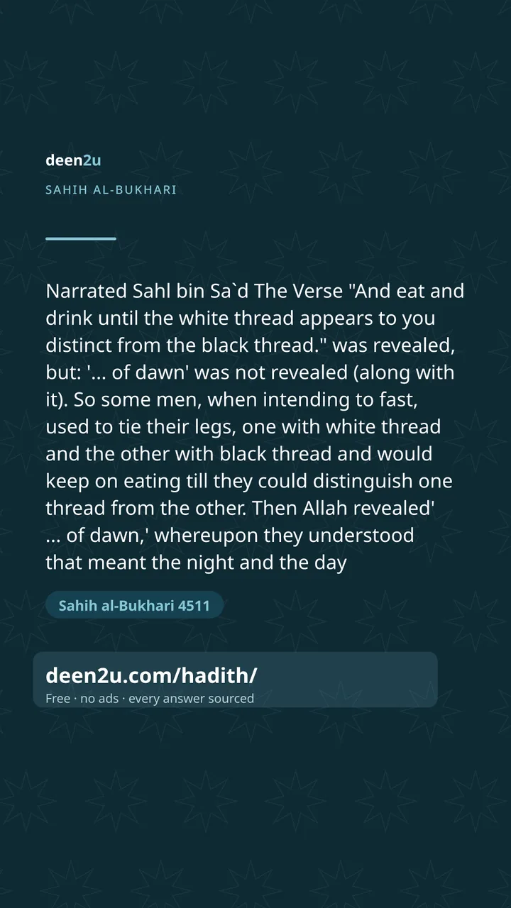 Sahih al-Bukhari 4511