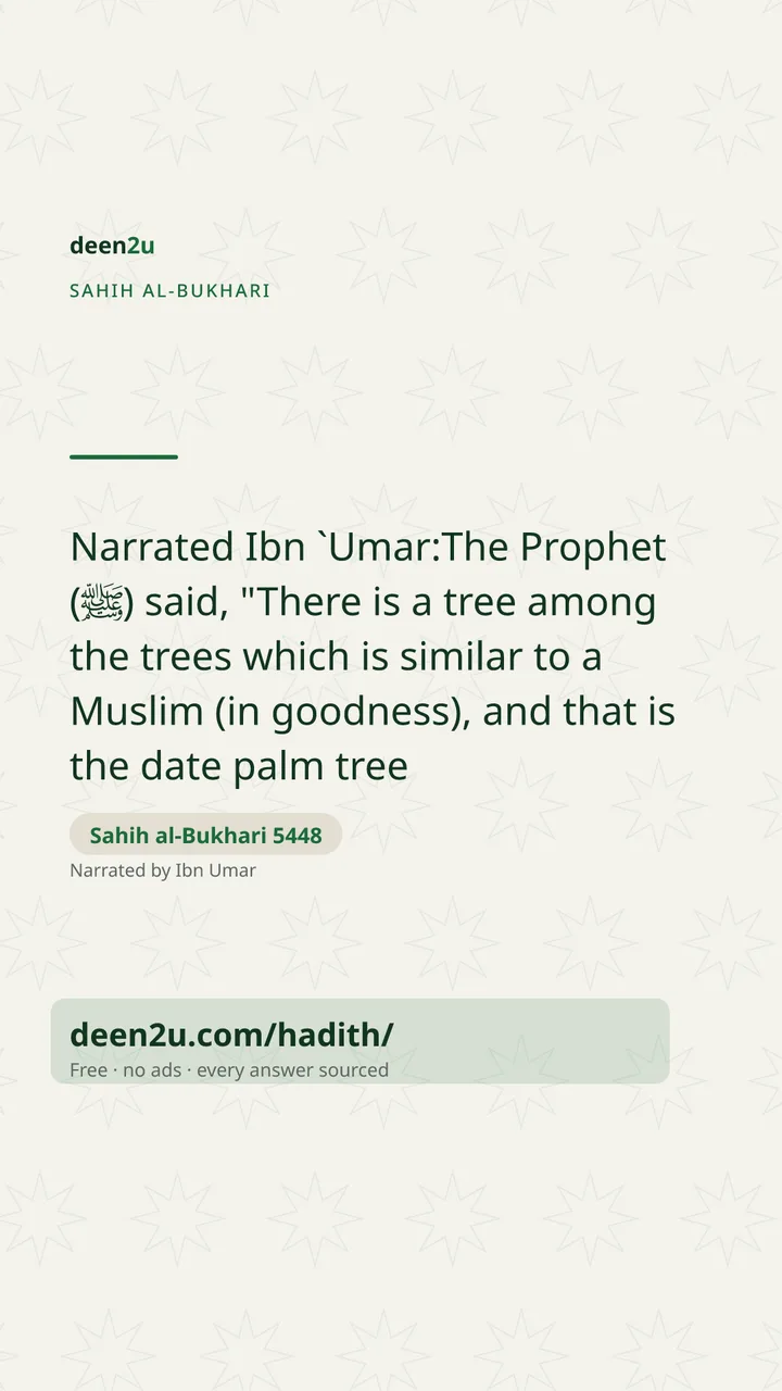 Sahih al-Bukhari 5448