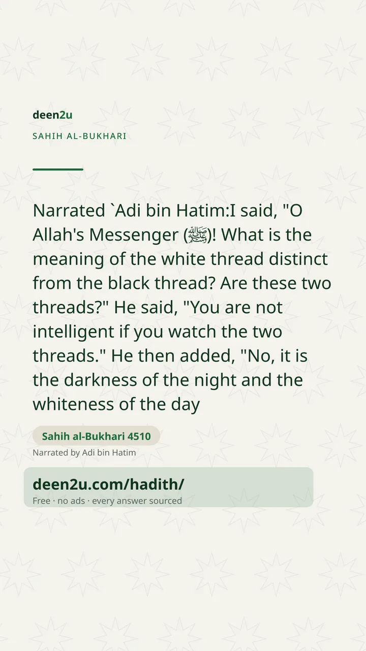 Sahih al-Bukhari 4510
