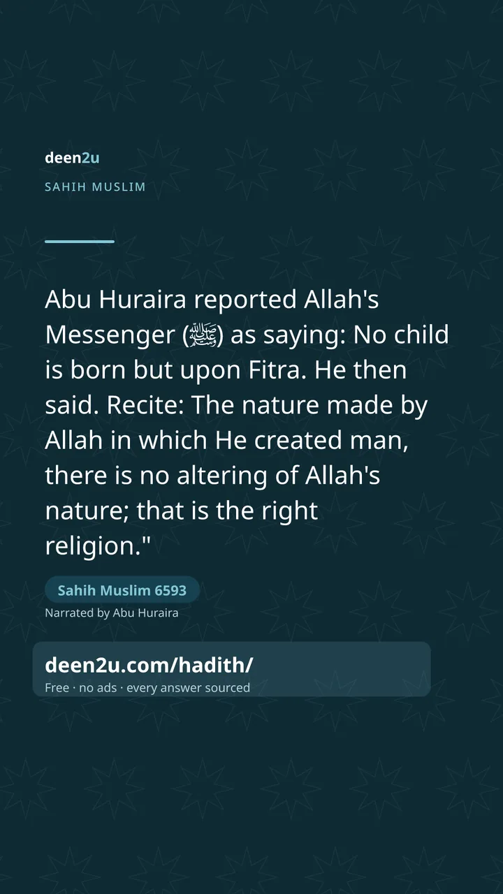Sahih Muslim 6593