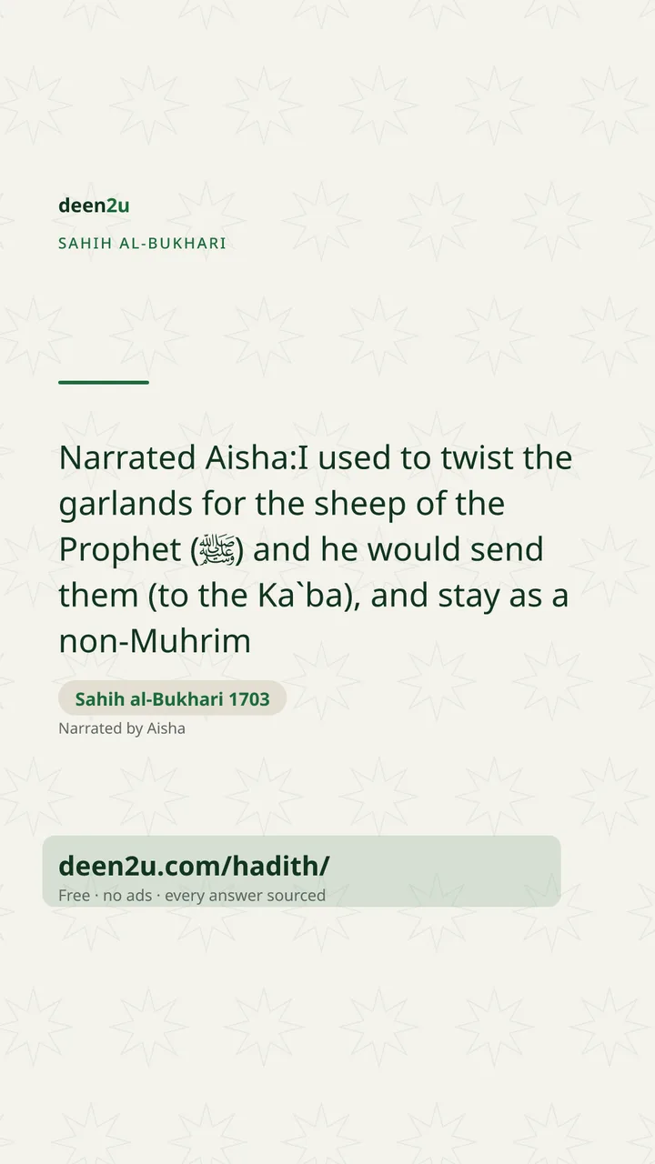 Sahih al-Bukhari 1703