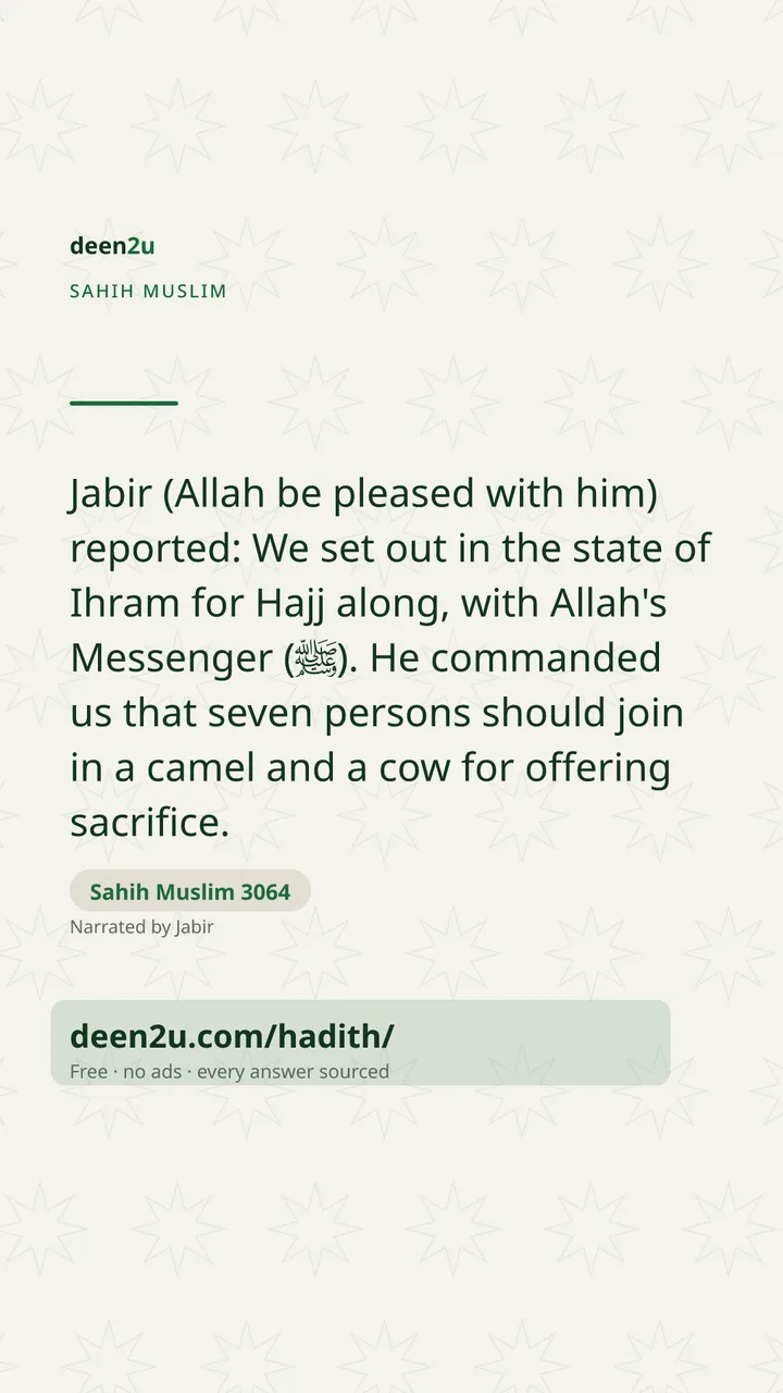 Sahih Muslim 3064