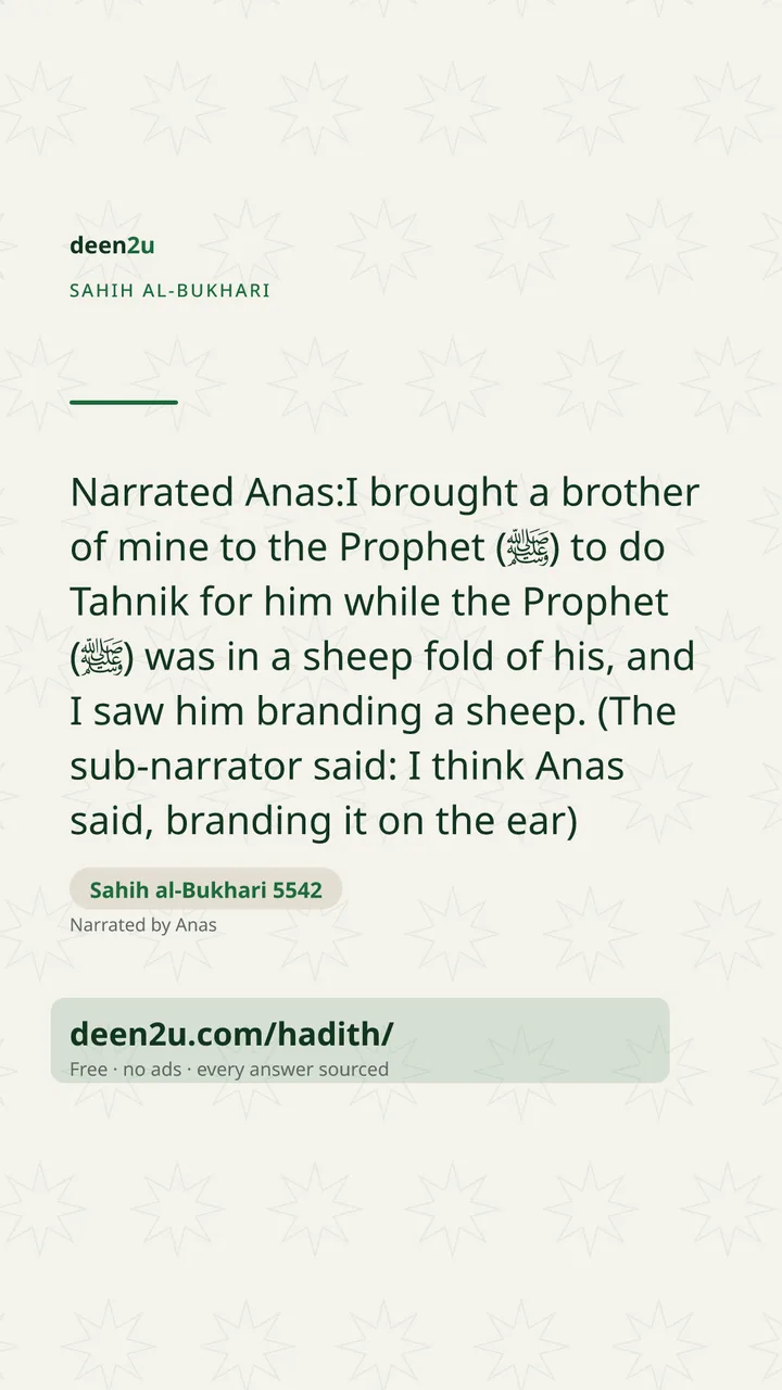 Sahih al-Bukhari 5542