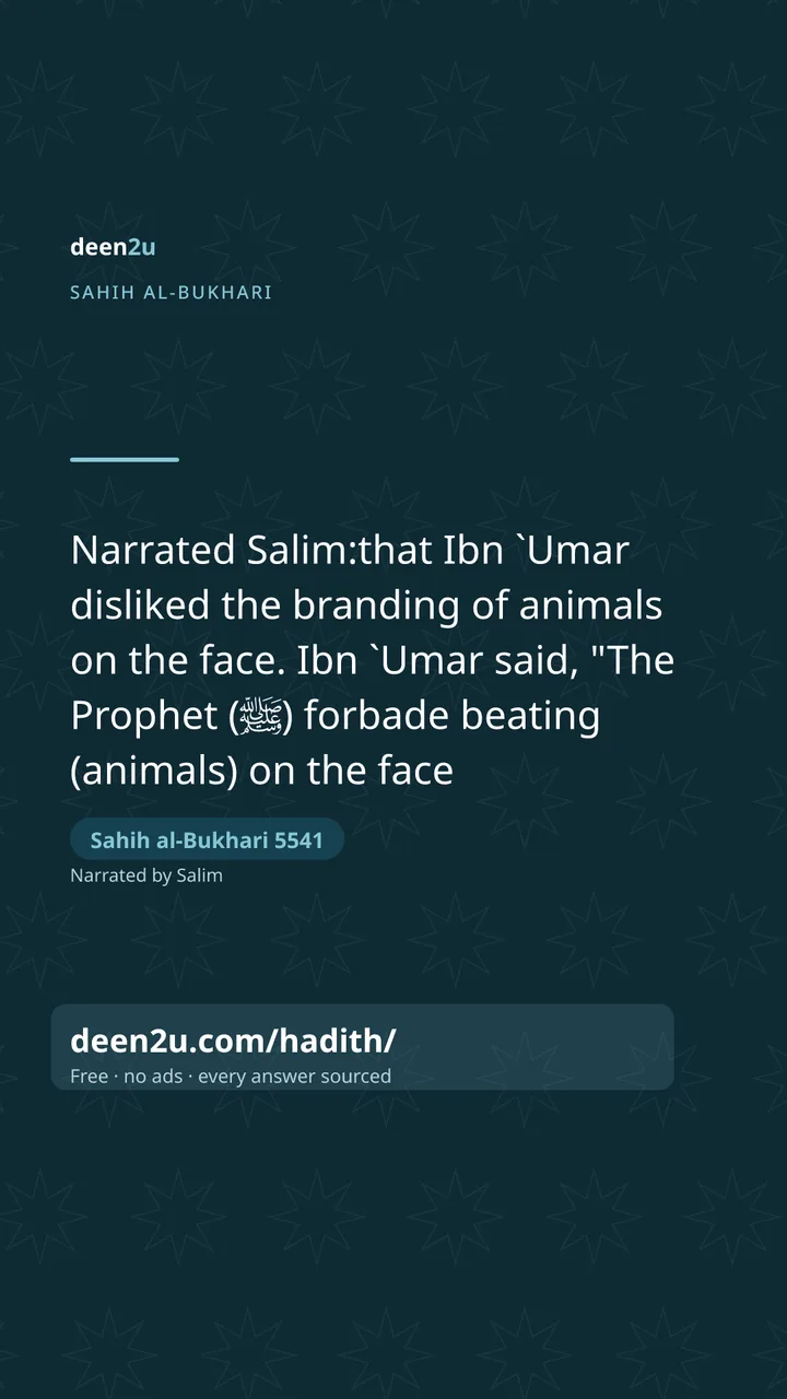 Sahih al-Bukhari 5541
