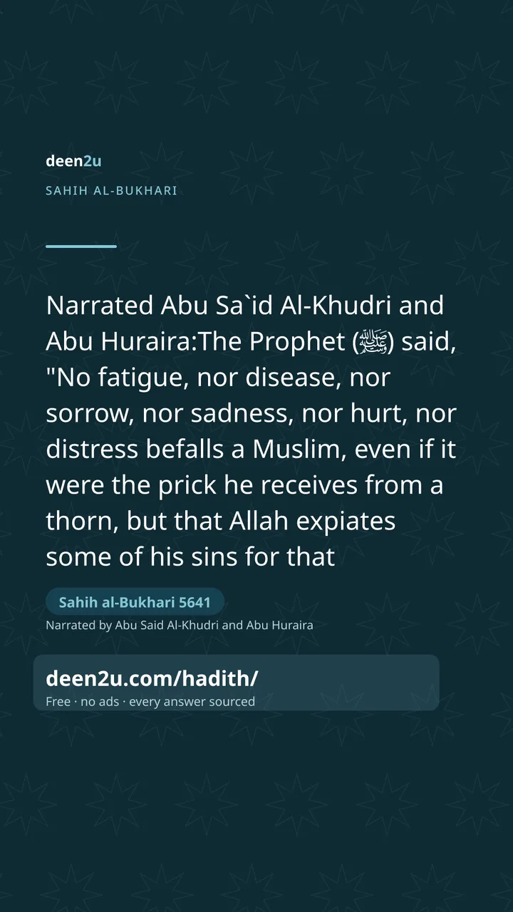 Sahih al-Bukhari 5641