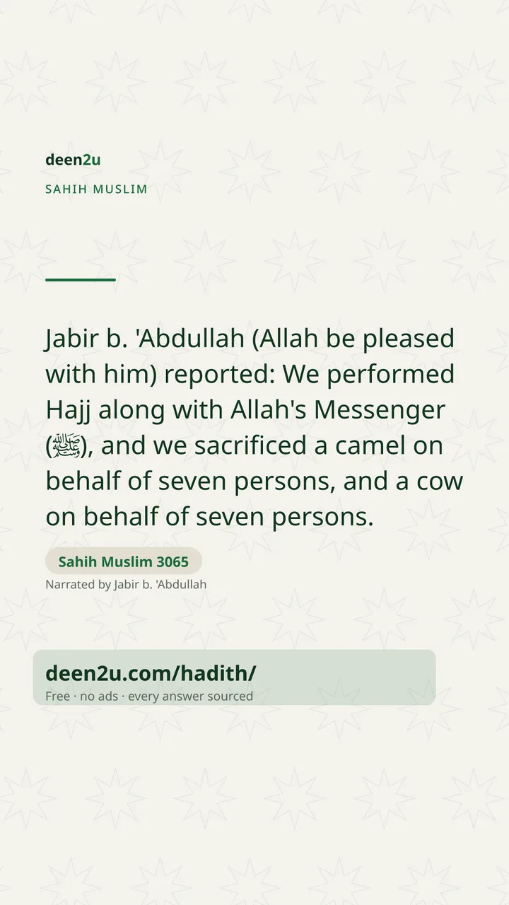 Sahih Muslim 3065