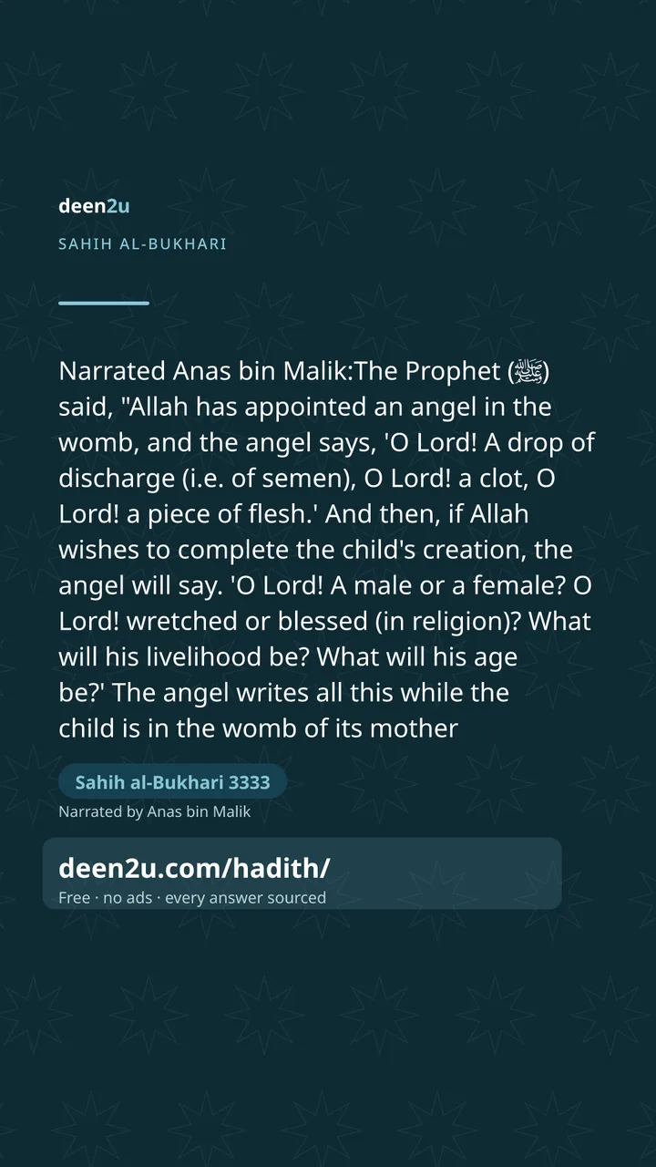 Sahih al-Bukhari 3333