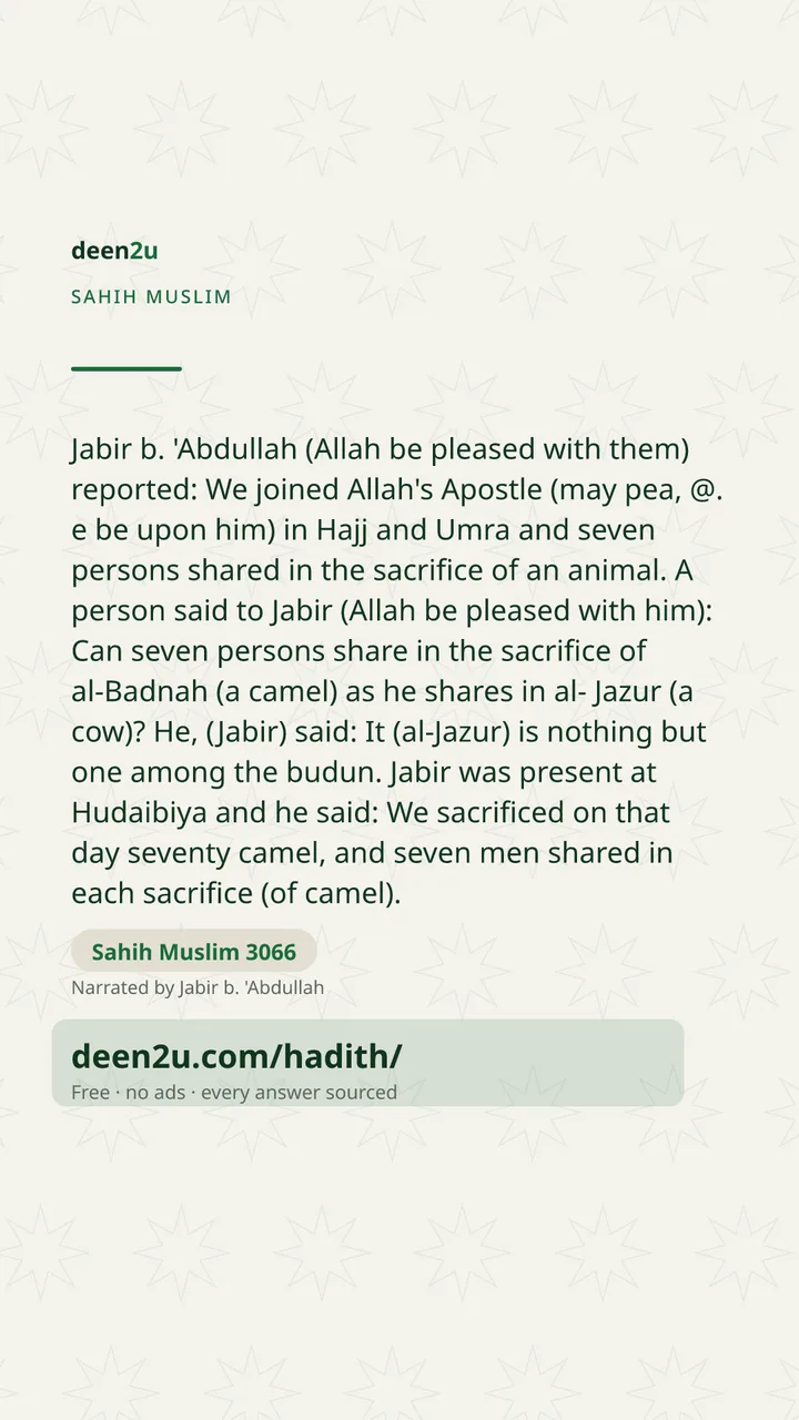 Sahih Muslim 3066
