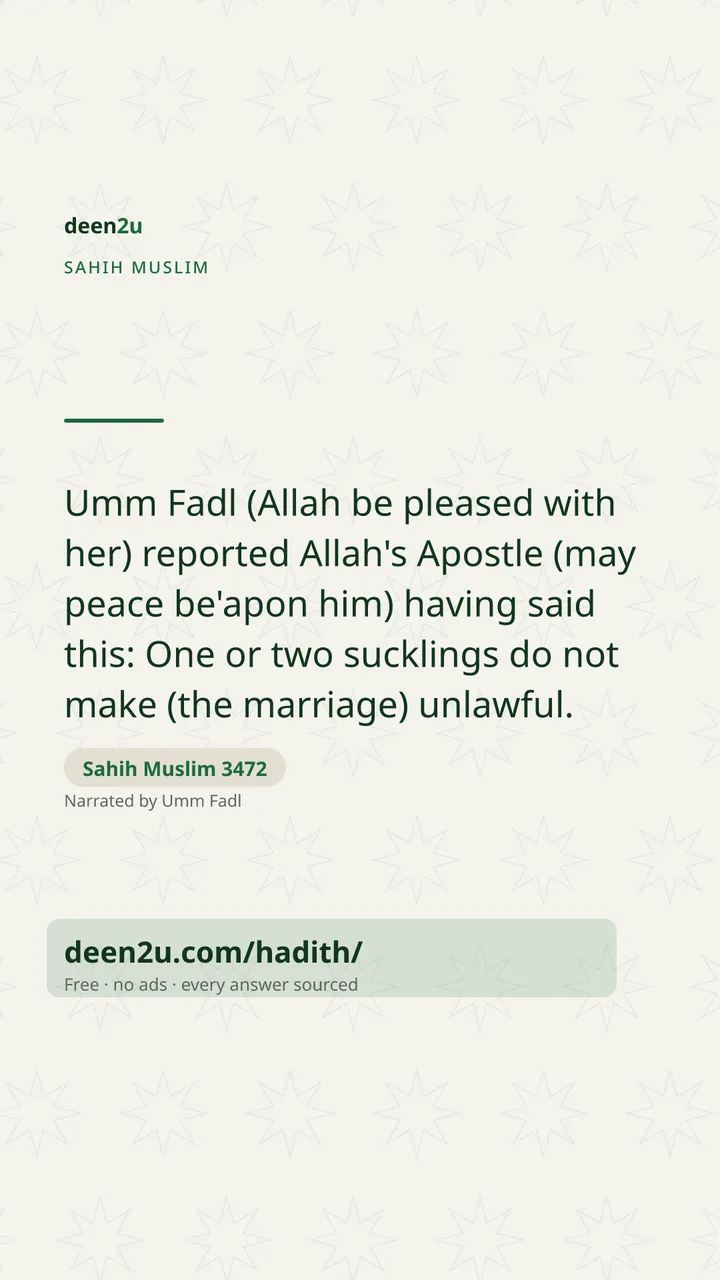 Sahih Muslim 3472