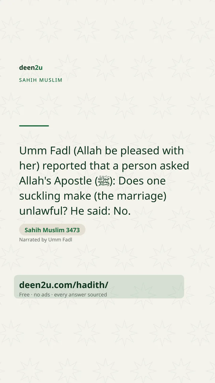 Sahih Muslim 3473
