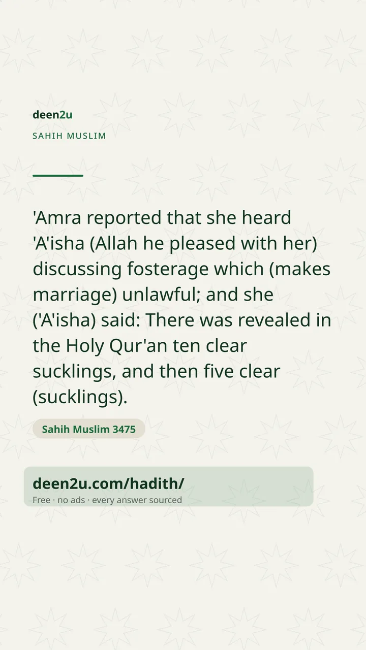 Sahih Muslim 3475