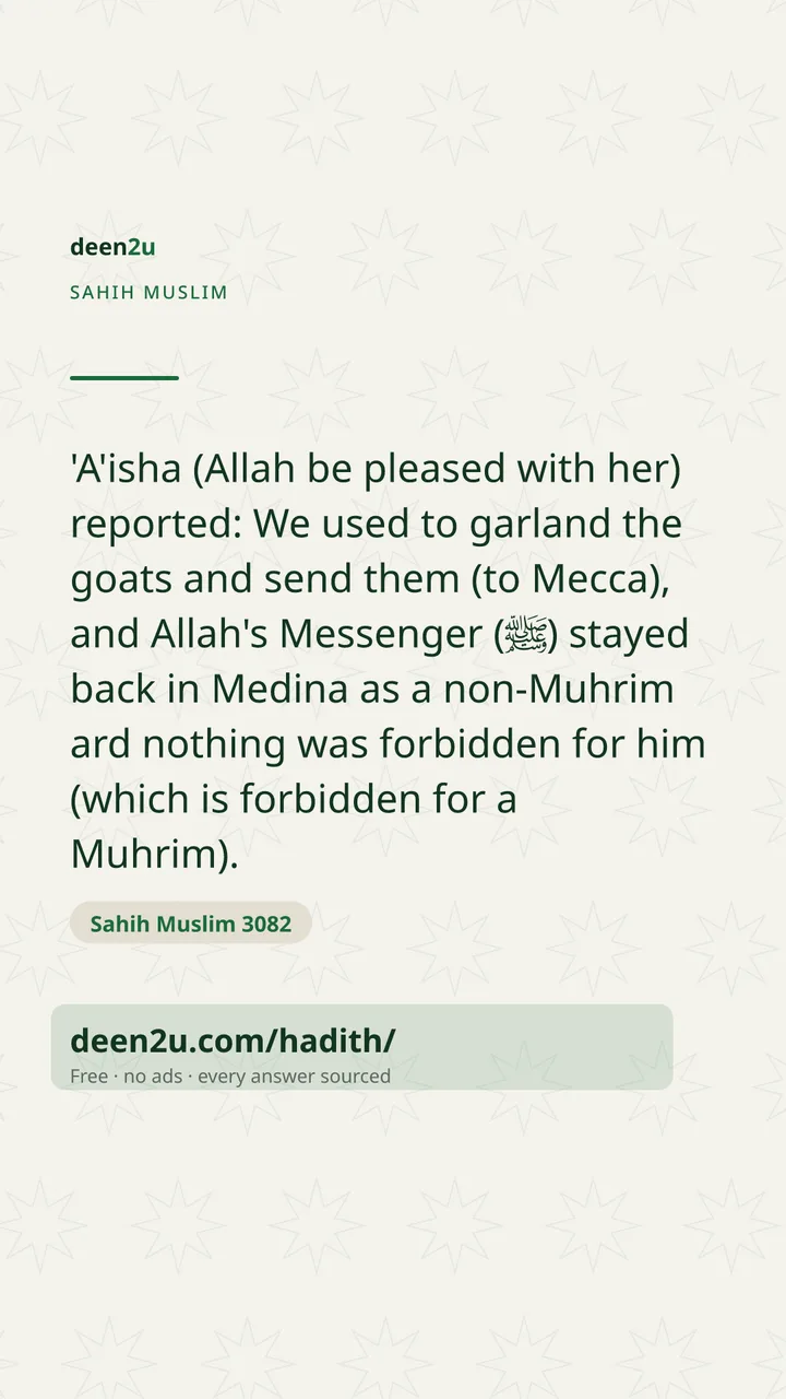 Sahih Muslim 3082
