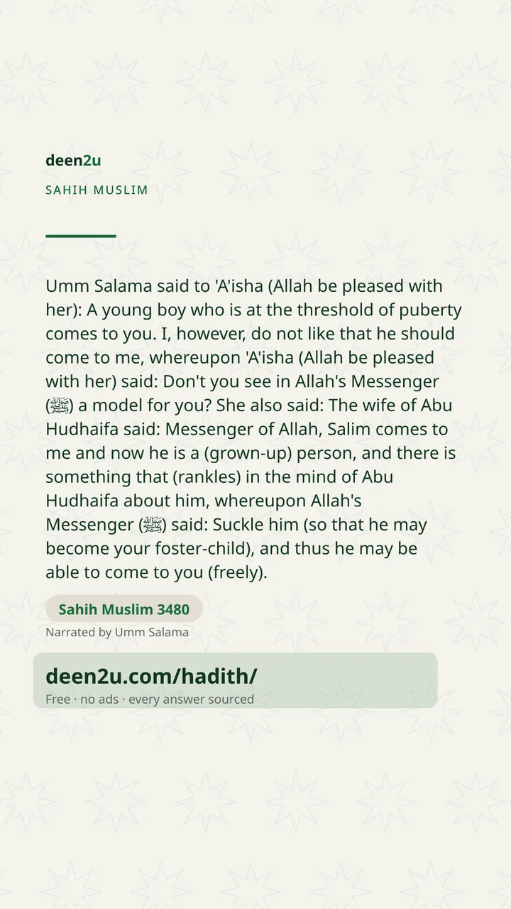 Sahih Muslim 3480