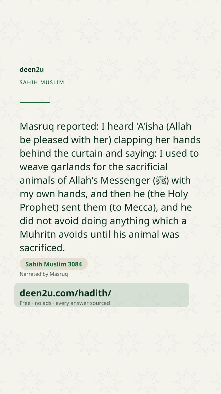 Sahih Muslim 3084