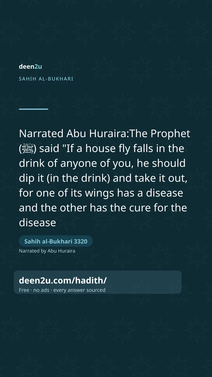 Sahih al-Bukhari 3320