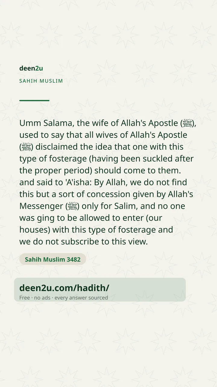 Sahih Muslim 3482