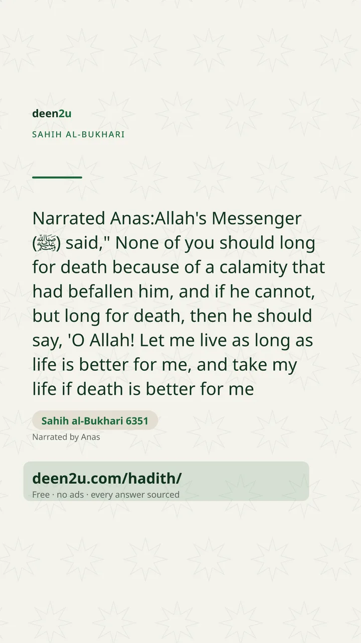 Sahih al-Bukhari 6351