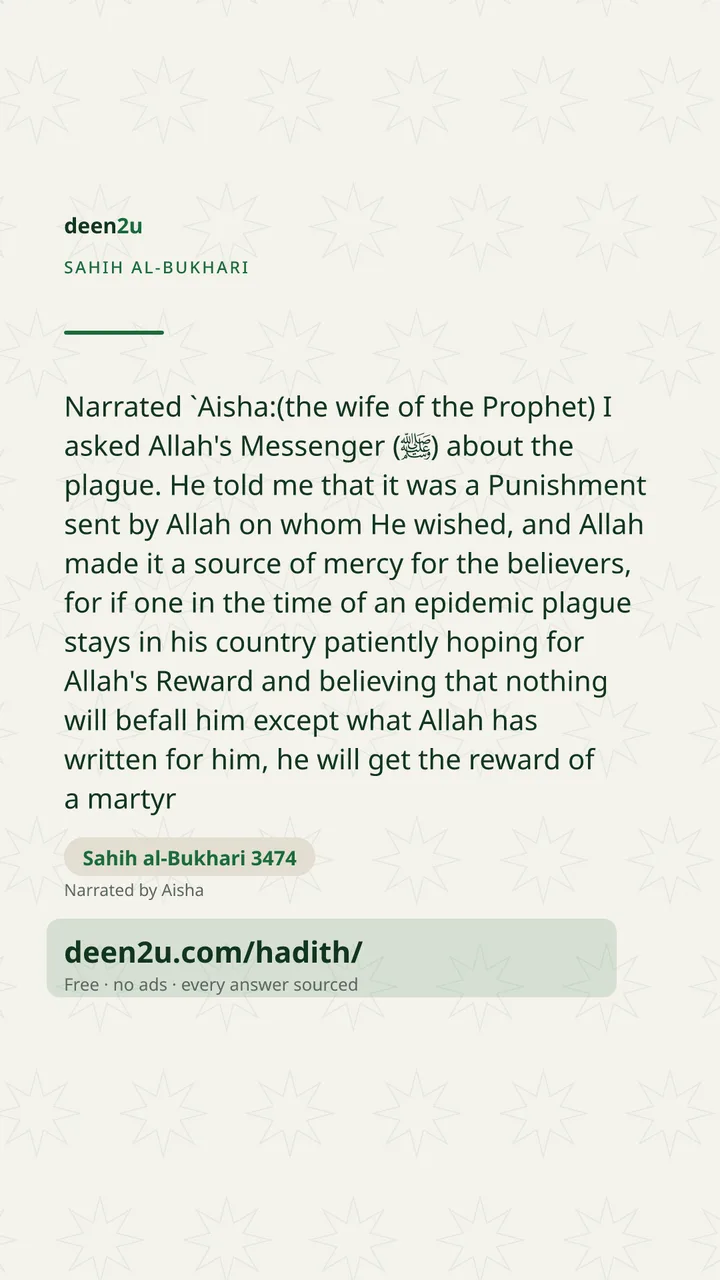 Sahih al-Bukhari 3474
