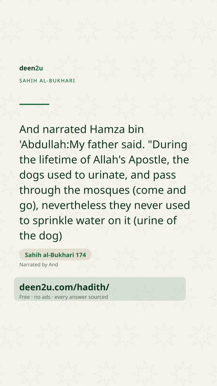 Sahih al-Bukhari 174