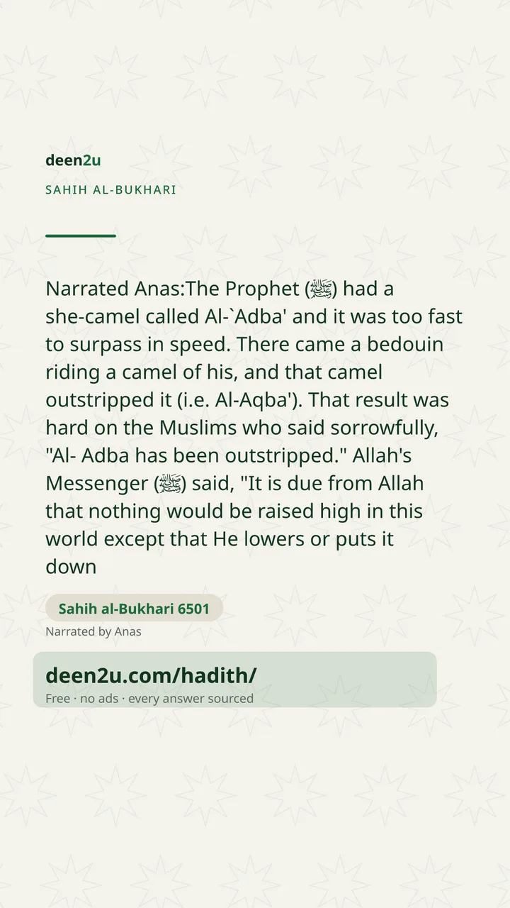 Sahih al-Bukhari 6501
