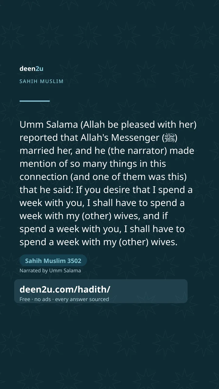 Sahih Muslim 3502