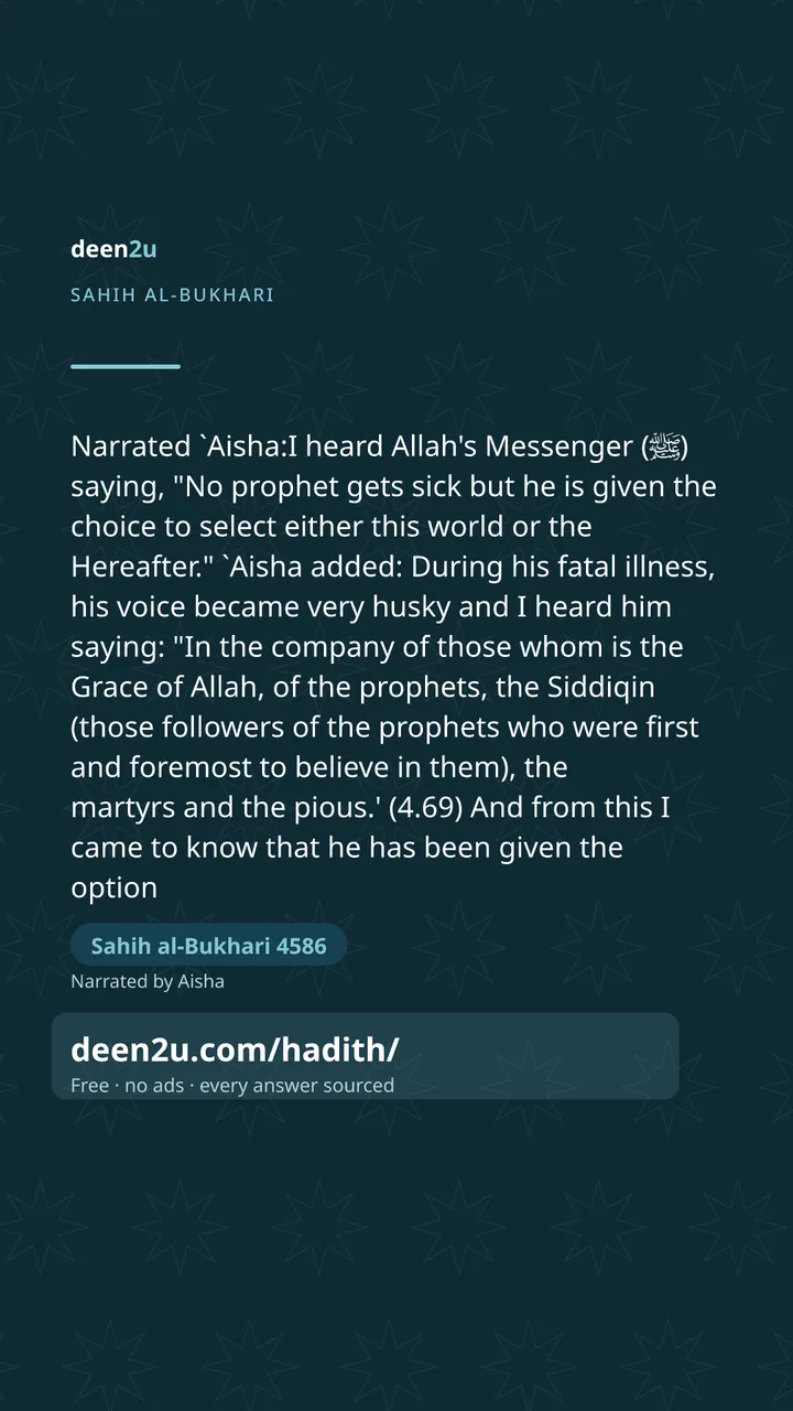 Sahih al-Bukhari 4586