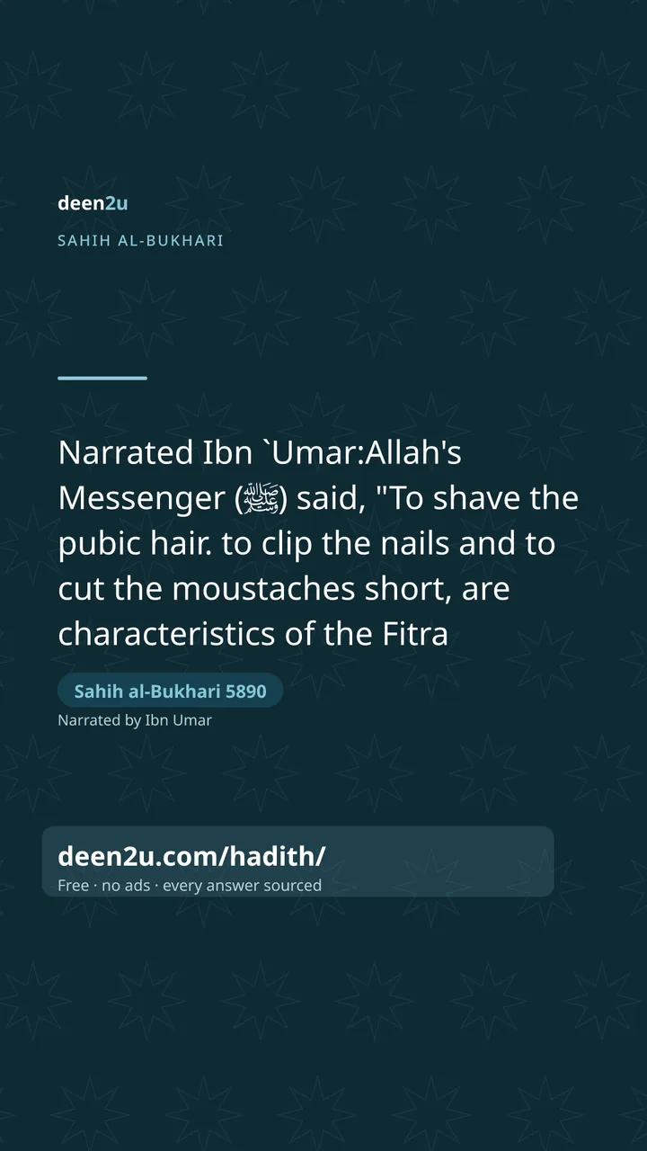 Sahih al-Bukhari 5890