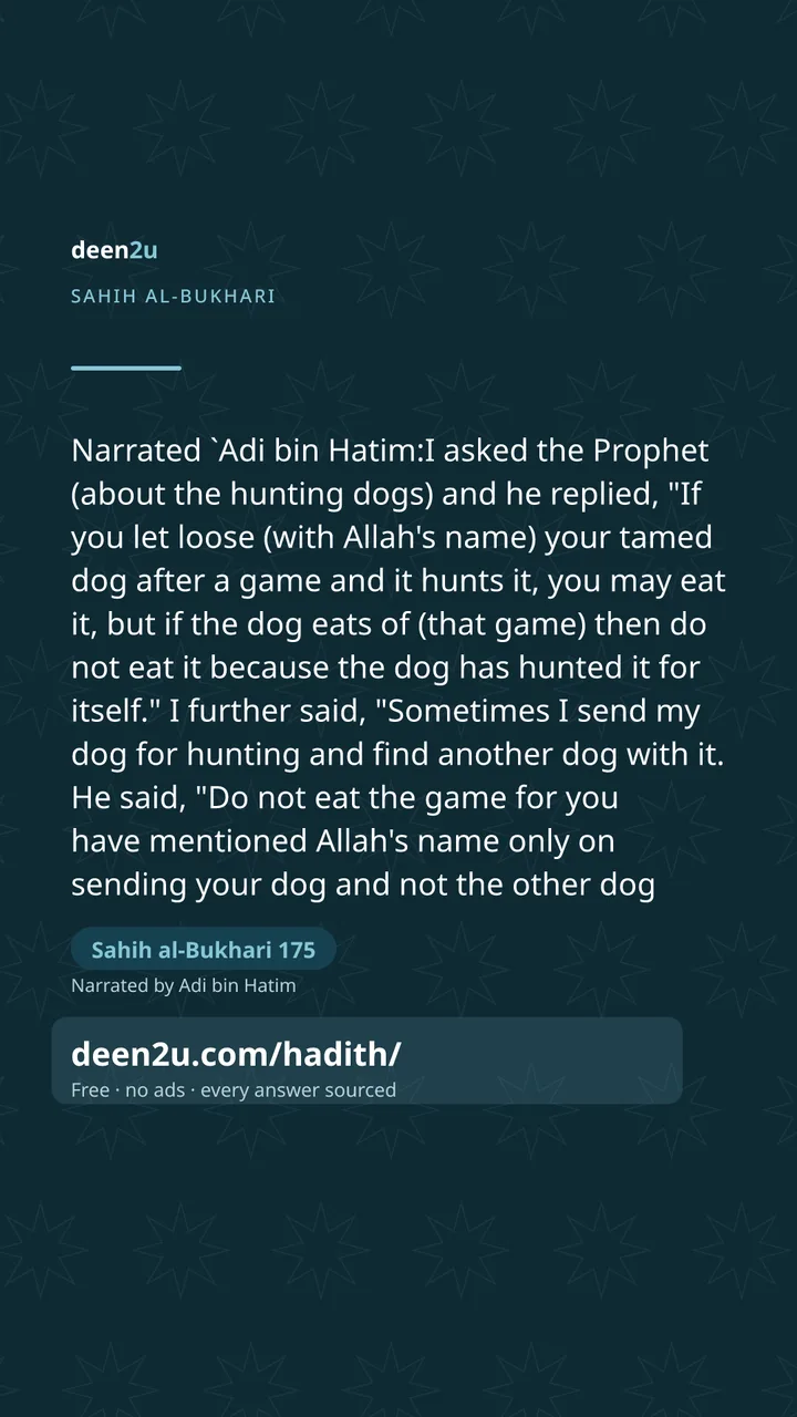 Sahih al-Bukhari 175