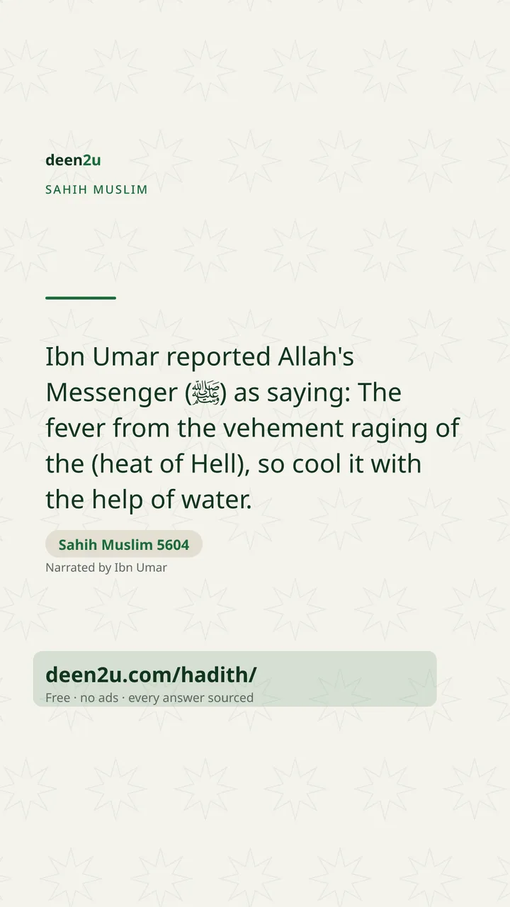 Sahih Muslim 5604