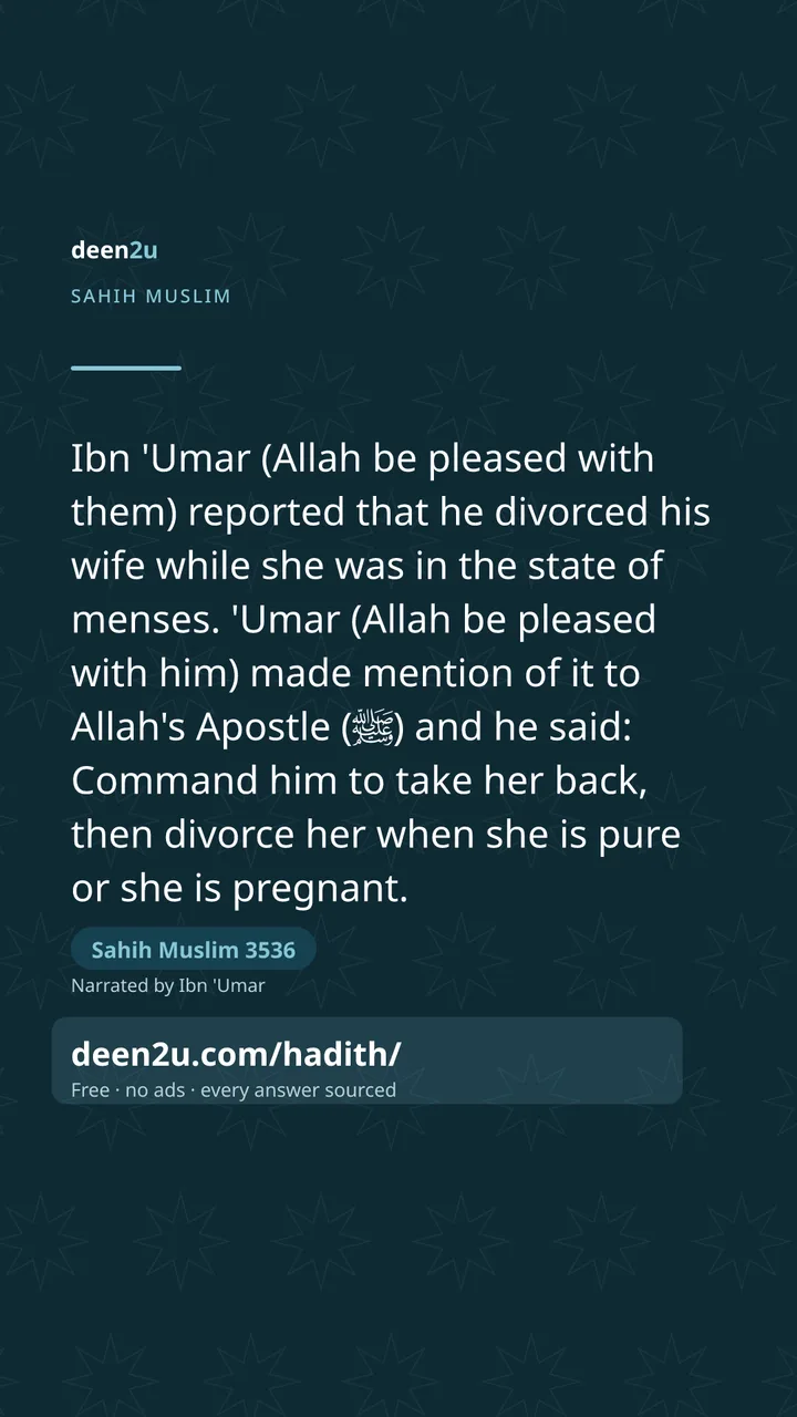 Sahih Muslim 3536