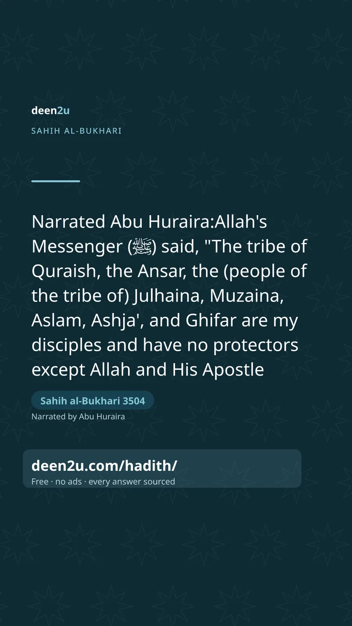 Sahih al-Bukhari 3504
