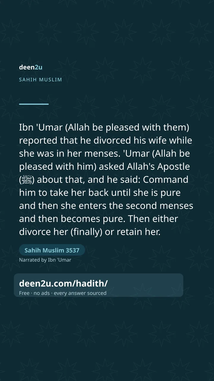 Sahih Muslim 3537