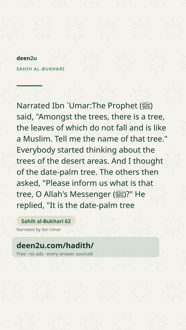 Sahih al-Bukhari 62