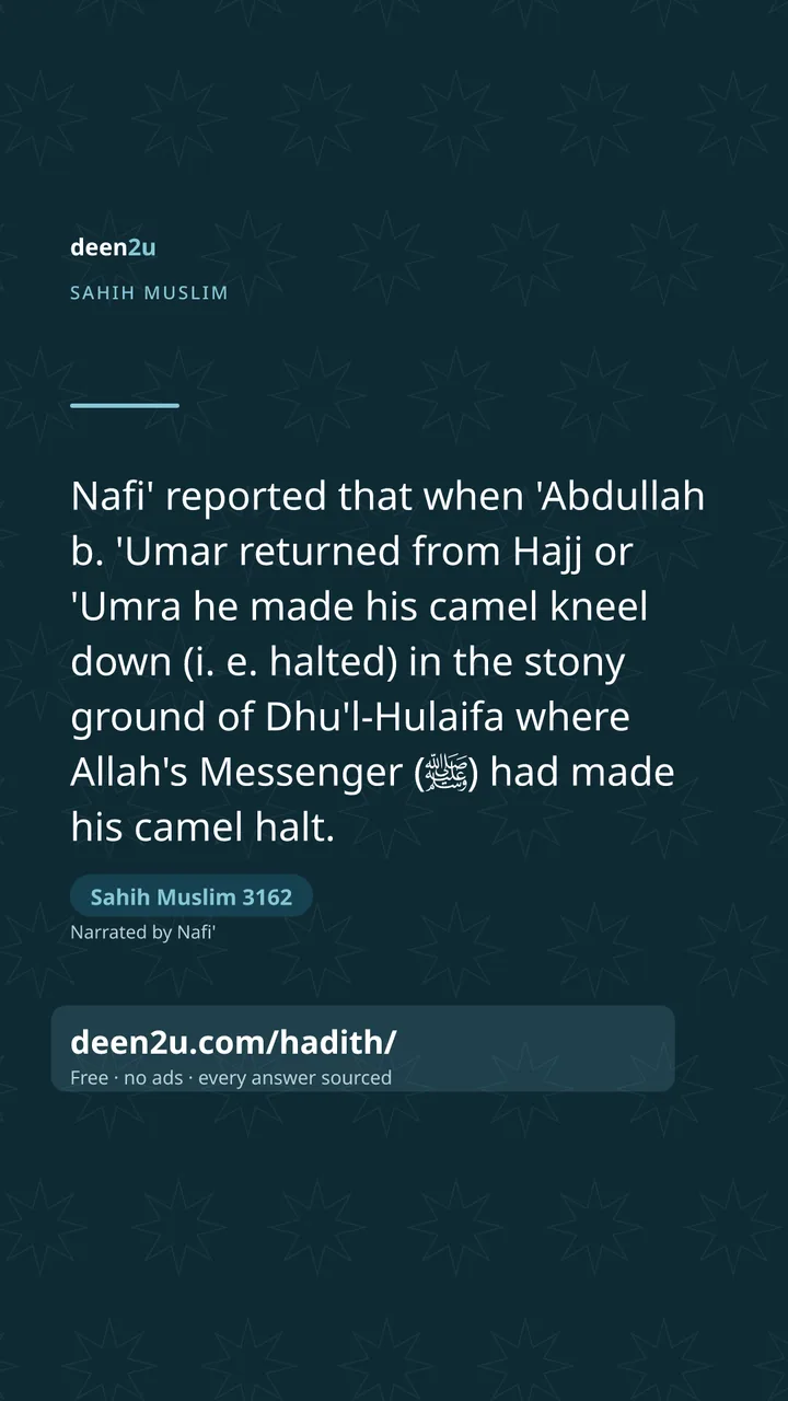 Sahih Muslim 3162