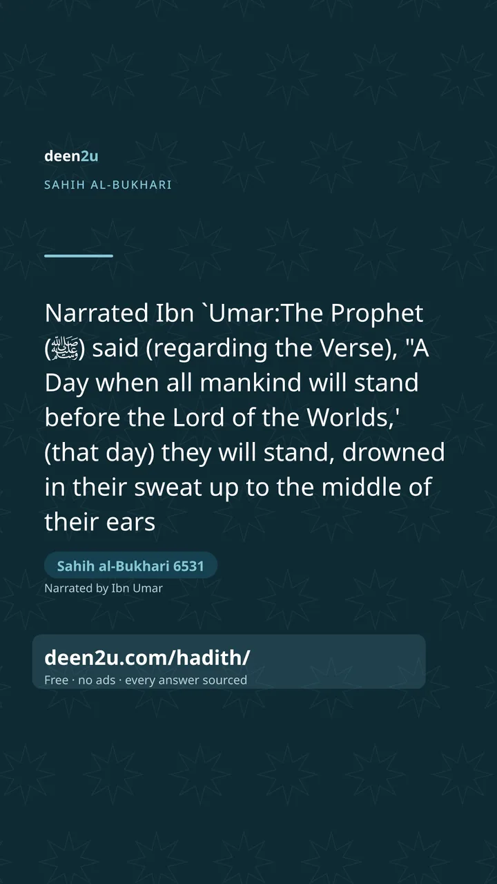 Sahih al-Bukhari 6531