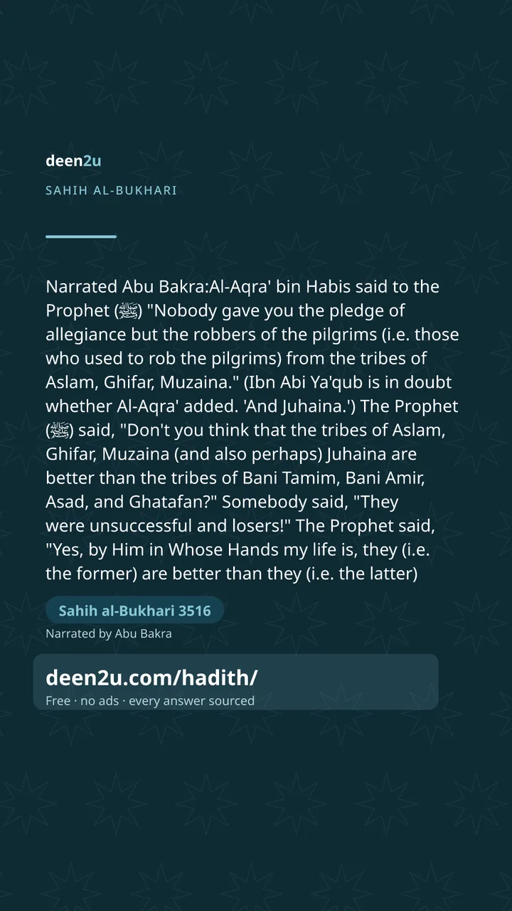Sahih al-Bukhari 3516