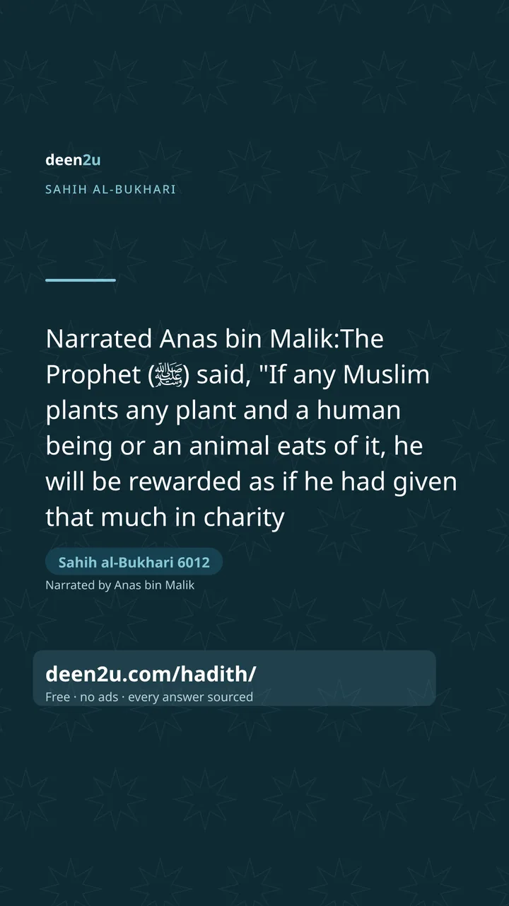 Sahih al-Bukhari 6012