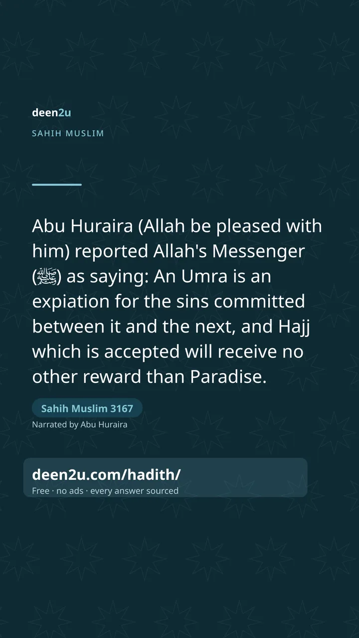 Sahih Muslim 3167