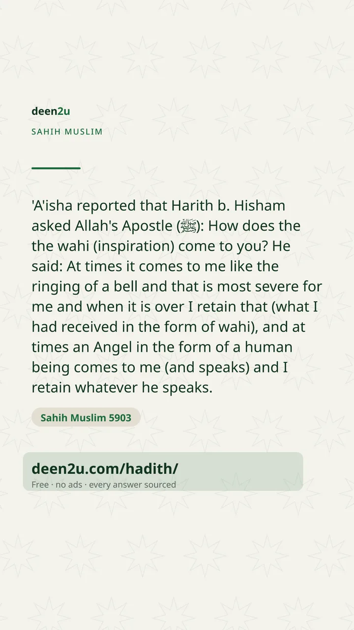 Sahih Muslim 5903