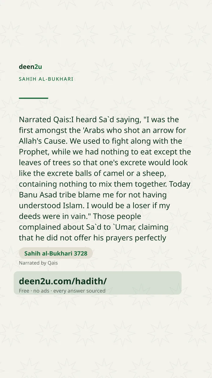Sahih al-Bukhari 3728