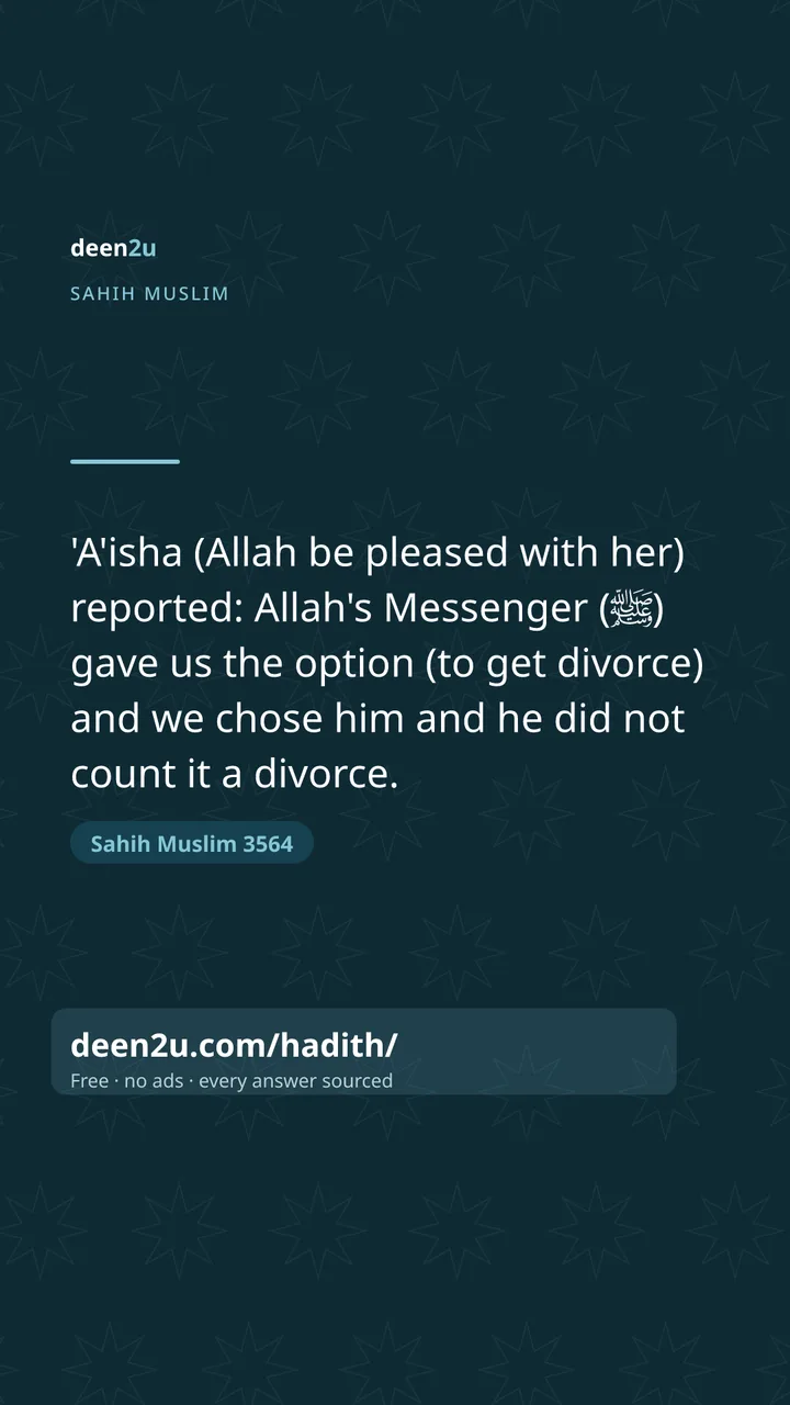 Sahih Muslim 3564