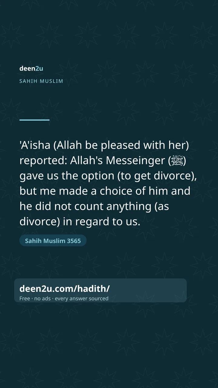 Sahih Muslim 3565