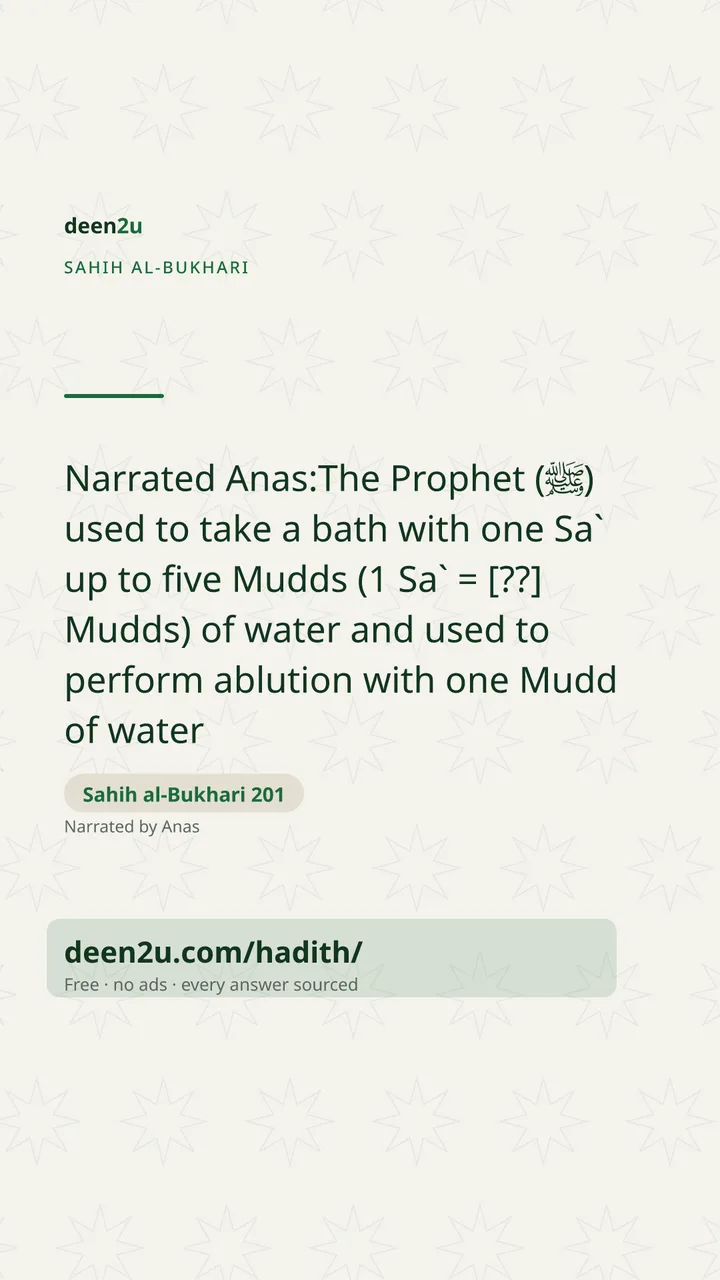 Sahih al-Bukhari 201