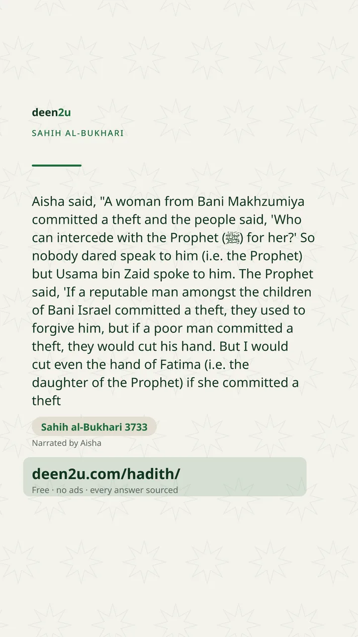 Sahih al-Bukhari 3733