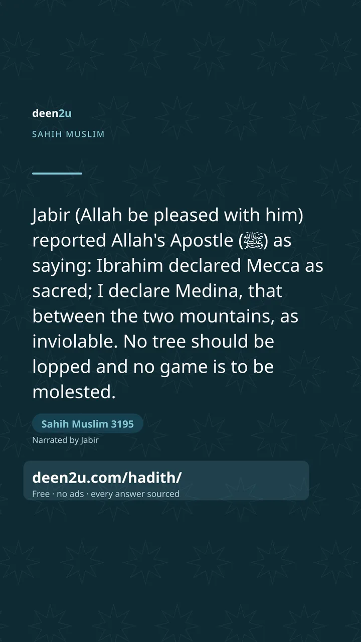 Sahih Muslim 3195