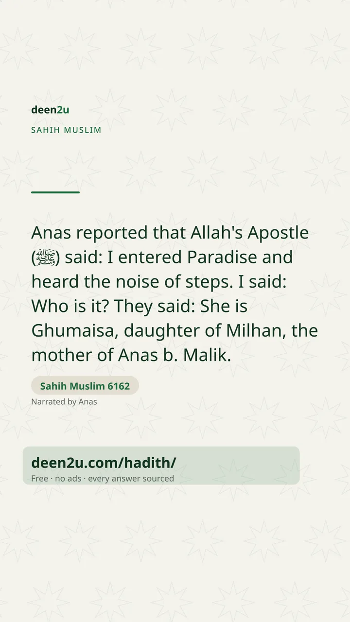 Sahih Muslim 6162