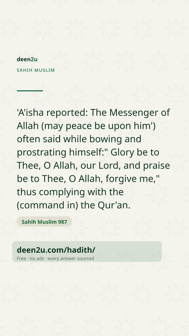 Sahih Muslim 987
