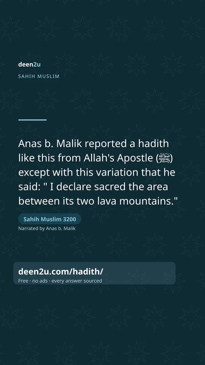 Sahih Muslim 3200