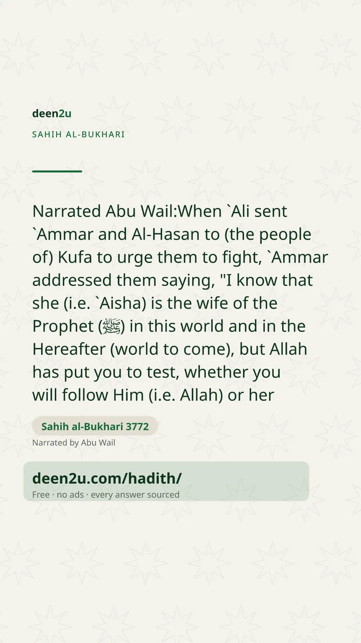 Sahih al-Bukhari 3772