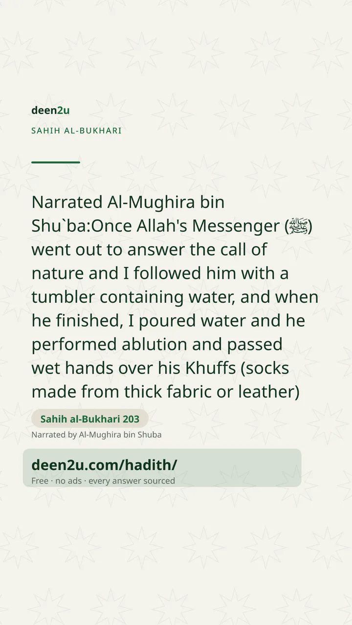 Sahih al-Bukhari 203